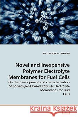 Novel and Inexpensive Polymer Electrolyte Membranes for Fuel Cells Syed Tauqir Ali Sherazi 9783639160437 VDM Verlag