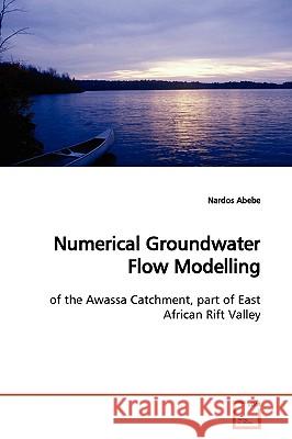 Numerical Groundwater Flow Modelling Nardos Abebe 9783639169201 VDM Verlag