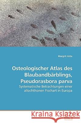 Osteologischer Atlas des Blaubandbärblings, Pseudorasbora parva Jütte, Margrit 9783639181272