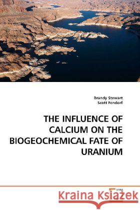 THE INFLUENCE OF CALCIUM ON THE BIOGEOCHEMICAL FATE OF URANIUM Stewart, Brandy 9783639183450 VDM Verlag Dr. Müller