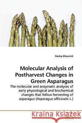 Molecular Analysis of Postharvest Changes in Green Asparagus Pankaj Bhowmik 9783639187304