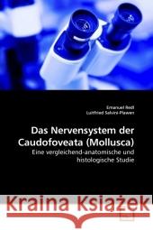 Das Nervensystem der Caudofoveata (Mollusca) : Eine vergleichend-anatomische und histologische Studie Redl, Emanuel 9783639206807