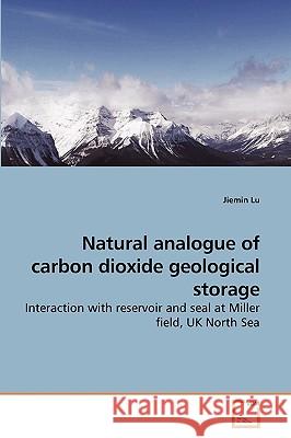 Natural analogue of carbon dioxide geological storage Lu, Jiemin 9783639207514