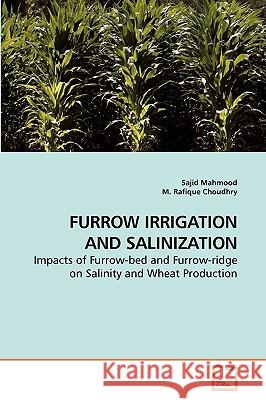 Furrow Irrigation and Salinization Sajid Mahmood 9783639207842 VDM Verlag