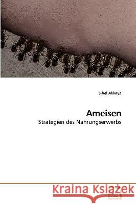 Ameisen Sibel Akkaya 9783639238723 VDM Verlag