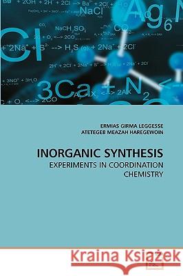Inorganic Synthesis Ermias Girma Leggesse Atetegeb Meazah 9783639239911 VDM Verlag