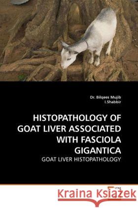 Histopathology of Goat Liver Associated with Fasciola Gigantica : Goat Liver Histopathology Mujib, Bilqees; Shabbir, Imrana 9783639248838