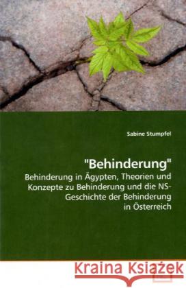 Behinderung Sabine Stumpfel 9783639254181 VDM Verlag