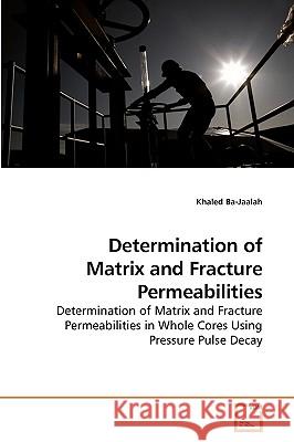 Determination of Matrix and Fracture Permeabilities Khaled Ba-Jaalah 9783639254624