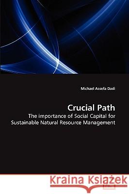 Crucial Path Michael Assefa Dadi 9783639276336 VDM Verlag