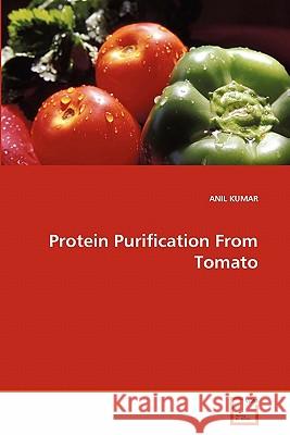 Protein Purification From Tomato Anil Kumar, Pro (Indian Institute of Technology Kanpur India) 9783639286359 VDM Verlag