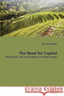 The Need for Capital Ane Katrine Bislev 9783639287790 VDM Verlag