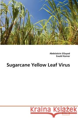 Sugarcane Yellow Leaf Virus Abdelaleim Elsayed Ewald Komor 9783639299465