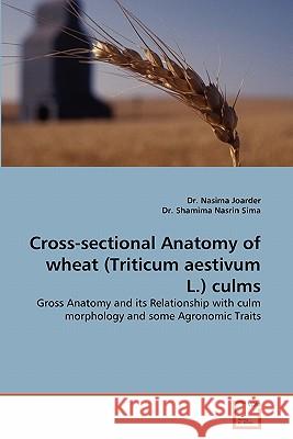 Cross-Sectional Anatomy of Wheat (Triticum Aestivum L.) Culms Dr Nasima Joarder, Dr Shamima Nasrin Sima 9783639300499 VDM Verlag