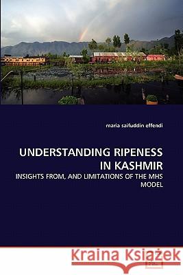 Understanding Ripeness in Kashmir Maria Saifuddin Effendi 9783639312577