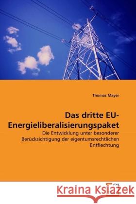 Das dritte EU-Energieliberalisierungspaket : Die Entwicklung unter besonderer Berücksichtigung der eigentumsrechtlichen Entflechtung Mayer, Thomas 9783639314045