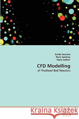 CFD Modelling Saccone, Guido 9783639314298 VDM Verlag