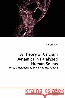 A Theory of Calcium Dynamics in Paralyzed Human Soleus M. J. Conaway 9783639314601 VDM Verlag