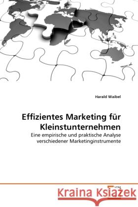 Effizientes Marketing für Kleinstunternehmen : Eine empirische und praktische Analyse verschiedener Marketinginstrumente Waibel, Harald 9783639334050