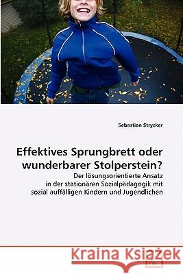 Effektives Sprungbrett oder wunderbarer Stolperstein? Strycker, Sebastian 9783639346770