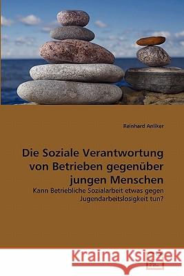 Die Soziale Verantwortung von Betrieben gegenüber jungen Menschen Reinhard Anliker 9783639346862 VDM Verlag