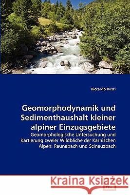 Geomorphodynamik und Sedimenthaushalt kleiner alpiner Einzugsgebiete Buzzi, Riccardo 9783639347531