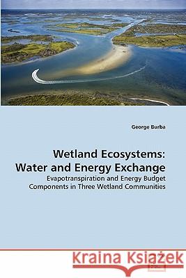 Wetland Ecosystems: Water and Energy Exchange Burba, George 9783639358643 VDM Verlag