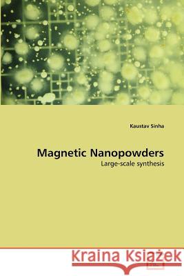 Magnetic Nanopowders Kaustav Sinha 9783639367430 VDM Verlag