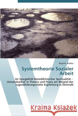 Systemtheorie Sozialer Arbeit Kulüke, Brigitte 9783639439892