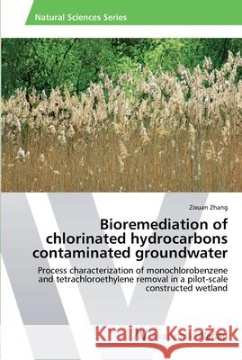 Bioremediation of chlorinated hydrocarbons contaminated groundwater Zhang, Zixuan 9783639440294
