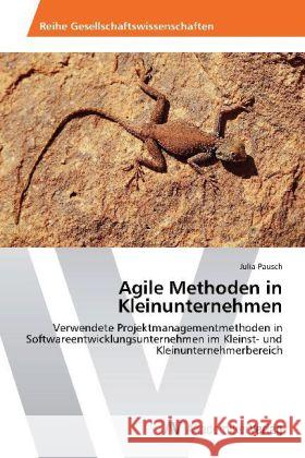 Agile Methoden in Kleinunternehmen : Verwendete Projektmanagementmethoden in Softwareentwicklungsunternehmen im Kleinst- und Kleinunternehmerbereich Pausch, Julia 9783639455786