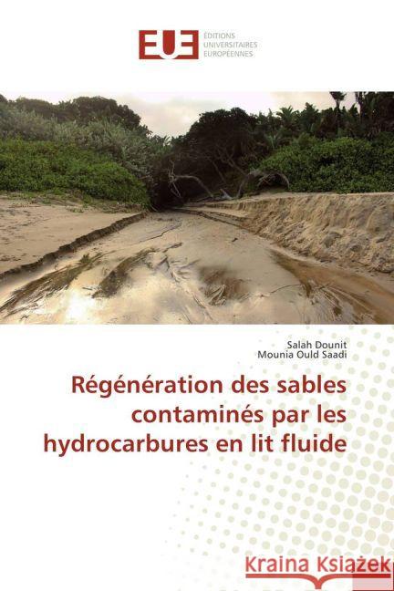 Régénération des sables contaminés par les hydrocarbures en lit fluide Dounit, Salah; Ould Saadi, Mounia 9783639480979