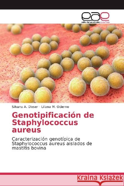 Genotipificación de Staphylococcus aureus : Caracterización genotípica de Staphylococcus aureus aislados de mastitis bovina Dieser, Silvana A.; Odierno, Liliana M. 9783639482386 Editorial Académica Española