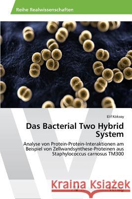 Das Bacterial Two Hybrid System Koksoy Elif 9783639495669 AV Akademikerverlag