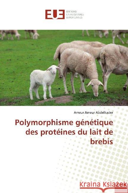 Polymorphisme génétique des protéines du lait de brebis Abdelkader, Ameur Ameur 9783639507485 Éditions universitaires européennes
