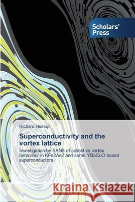 Superconductivity and the vortex lattice Heslop, Richard 9783639515237