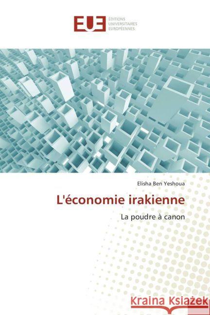 L'économie irakienne : La poudre à canon Ben Yeshoua, Elisha 9783639525434