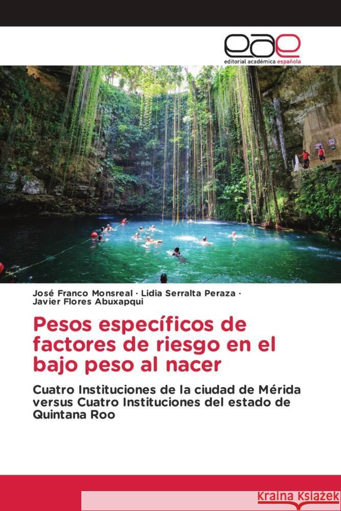 Pesos específicos de factores de riesgo en el bajo peso al nacer Franco Monsreal, José, Serralta Peraza, Lidia, Flores Abuxapqui, Javier 9783639535303