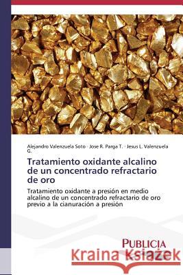 Tratamiento oxidante alcalino de un concentrado refractario de oro Valenzuela Soto Alejandro 9783639554007 Publicia