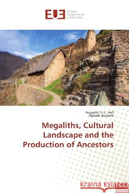 Megaliths, Cultural Landscape and the Production of Ancestors Holl, Augustin F. C.; Bocoum, Hamadi 9783639607642