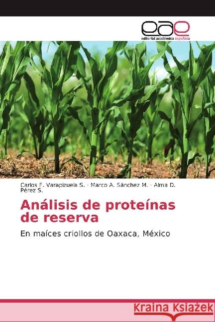 Análisis de proteínas de reserva : En maíces criollos de Oaxaca, México Varapizuela S., Carlos F.; Sánchez M., Marco A.; Pérez S., Alma D. 9783639609516