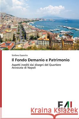 Il Fondo Demanio e Patrimonio Esposito Stefano 9783639658866 Edizioni Accademiche Italiane