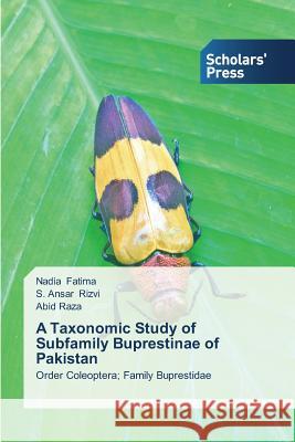 A Taxonomic Study of Subfamily Buprestinae of Pakistan Fatima, Nadia 9783639661606 Scholars' Press