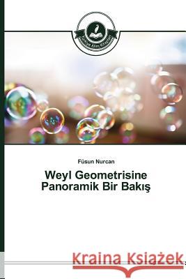 Weyl Geometrisine Panoramik Bir Bakış Nurcan Füsun 9783639674989 Turkiye Alim Kitapları