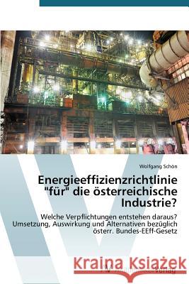 Energieeffizienzrichtlinie für die österreichische Industrie? Schön Wolfgang 9783639679151