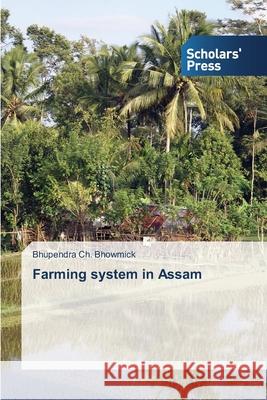 Farming system in Assam Bhowmick Bhupendra Ch   9783639703009 Scholars' Press