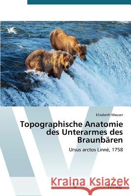 Topographische Anatomie des Unterarmes des Braunbären Mauser Elisabeth 9783639721713 AV Akademikerverlag