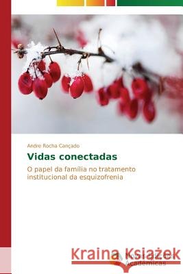 Vidas conectadas Rocha Cançado Andre 9783639751468