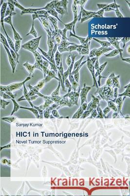 HIC1 in Tumorigenesis Kumar Sanjay 9783639761306