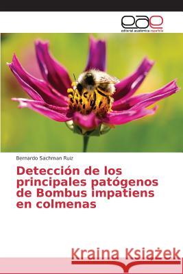Detección de los principales patógenos de Bombus impatiens en colmenas Sachman Ruiz Bernardo 9783639782431 Editorial Academica Espanola